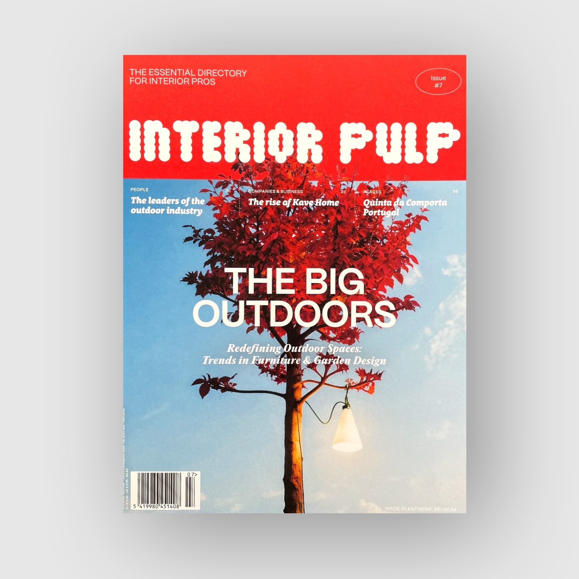 Interior Pulp 07